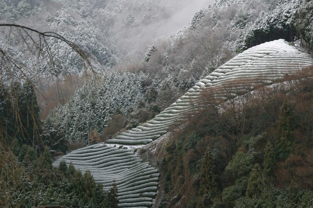 Kyoto Wazukaso Hotel Kizugawa Kültér fotó