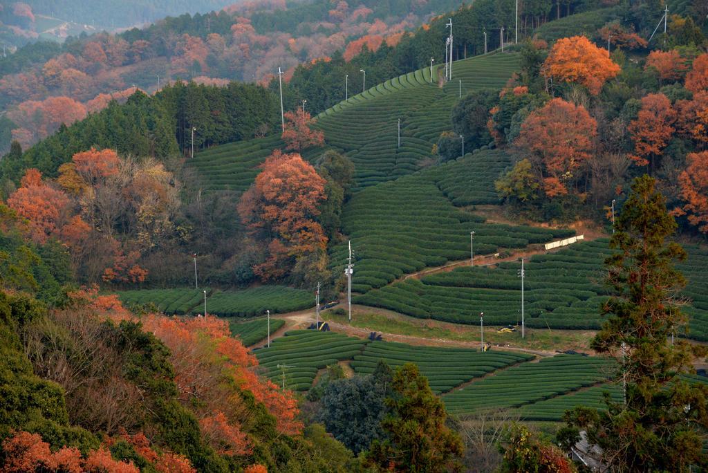Kyoto Wazukaso Hotel Kizugawa Kültér fotó